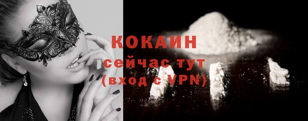 твердый Осташков
