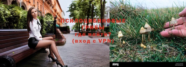 PSILOCYBIN Осинники