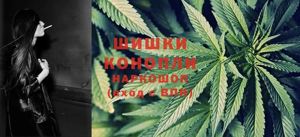 PSILOCYBIN Осинники