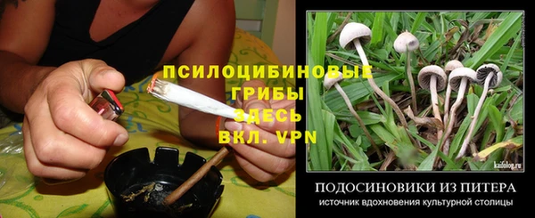 твердый Осташков