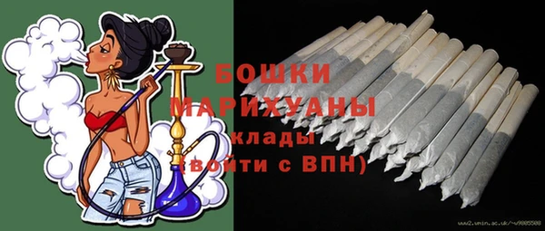 твердый Осташков